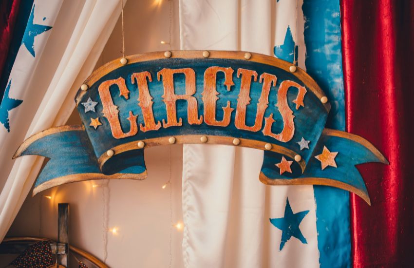 Circus Arts Conservatory Sarasota